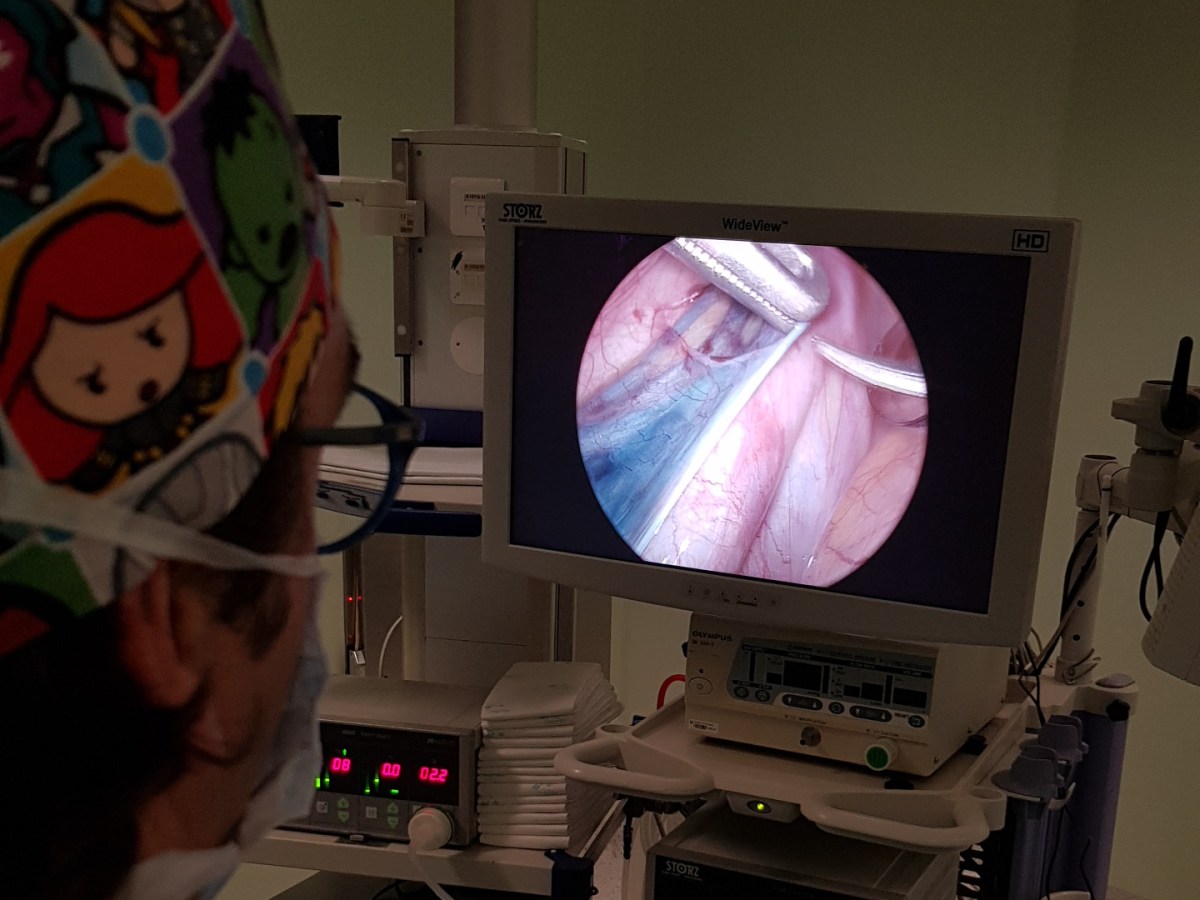 Um em cada 5 adolescentes tem varicocelo.&nbsp;Como?